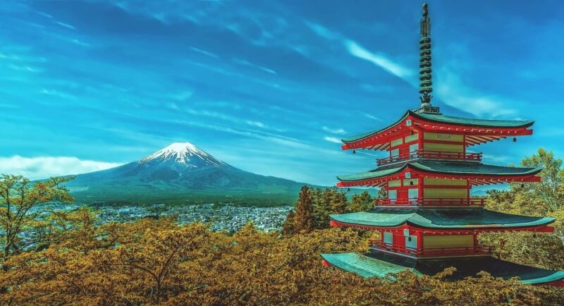 Tokyo:Private Mt Fuji Sightseeing Tour in Luxury Landcruiser - Experienced Drivers