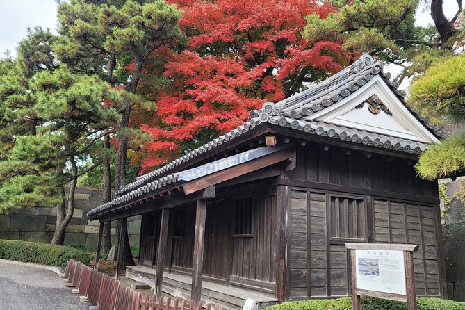 Tokyos Imperial Palace & Nihonbashi Tour - Guest Feedback