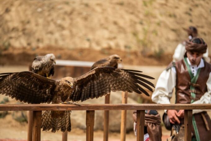 Toledo: Puy Du Fou Spain Entry Ticket - Show Highlights and Schedules