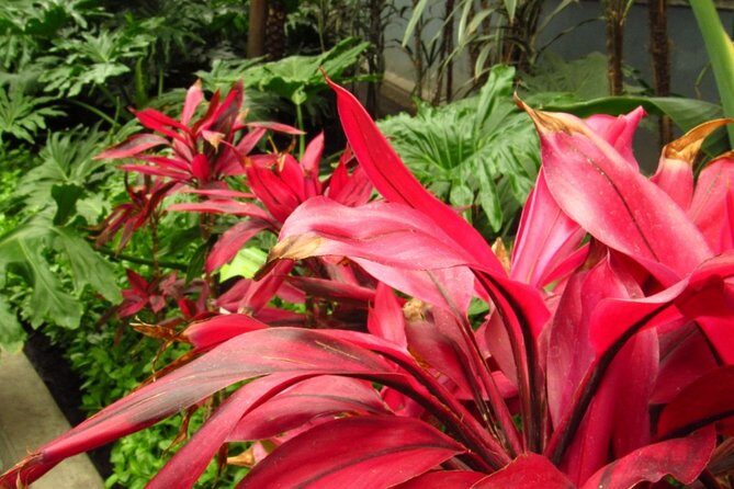 Toluca and Pueblo Mágico de Metepec from Mexico City - Practical Aspects of the Tour