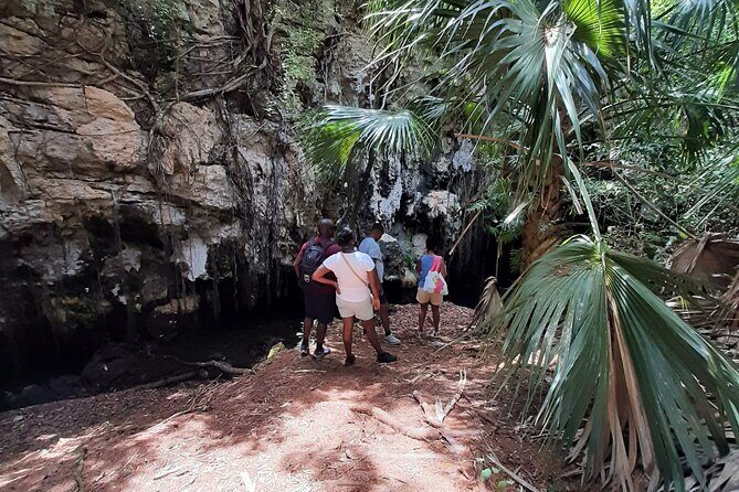 Tom Moores Jungle and Eco Tour - A Closer Look at the Tour Experience  