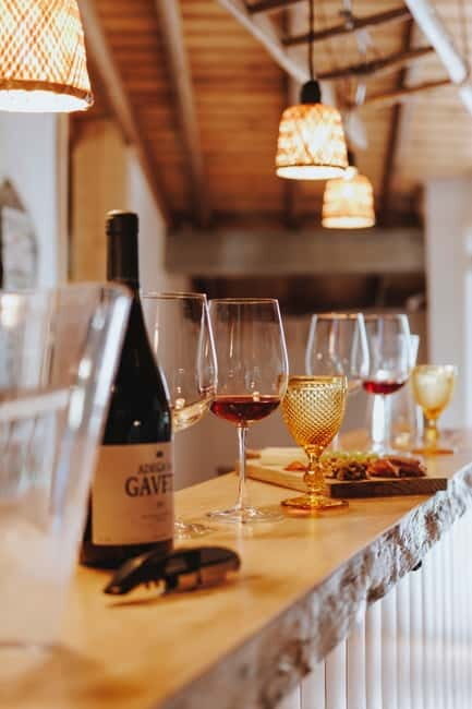 Tomar: Learn About Winemaking with a Tasting - The Wines and the Tasting Experience