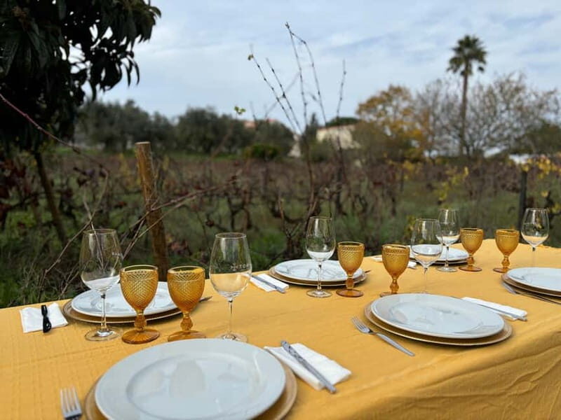 Tomar: Lunch among the vineyards - Key Points