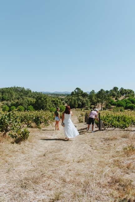 Tomar: Lunch among the vineyards - A closer look at what to expect