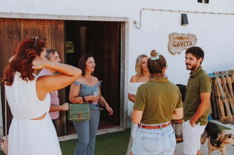 Tomar: Vineyard Tour with Tastings - An Introduction to Margaval Vinhos
