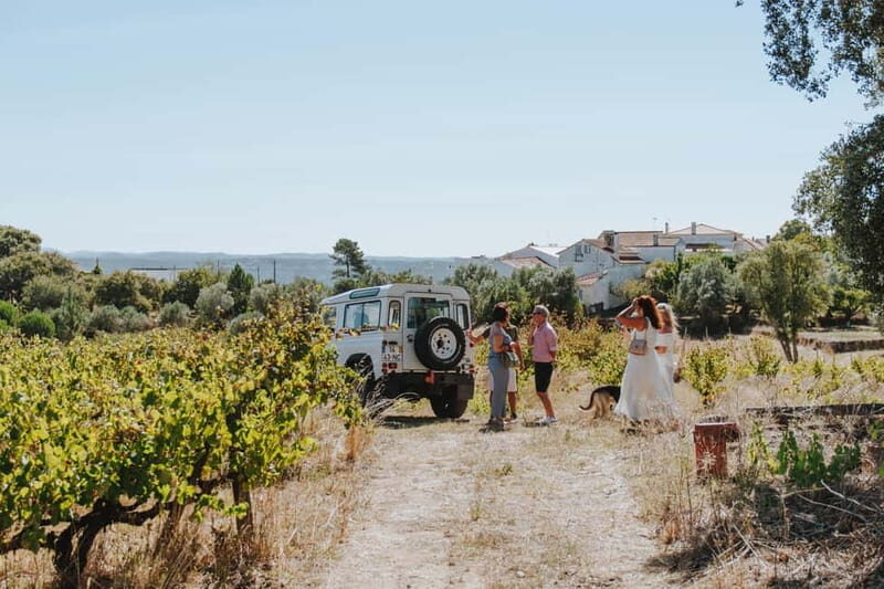 Tomar: Vineyard Tour with Tastings - The Tasting Experience
