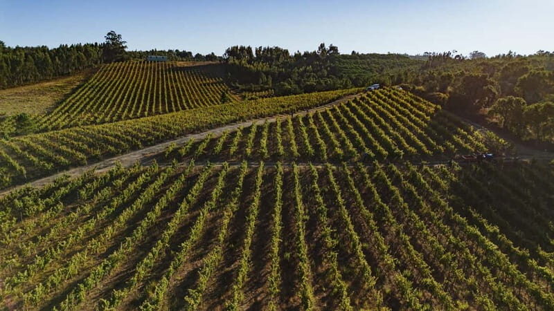 Tomar: Wine Picnic for Two - The Experience in Detail
