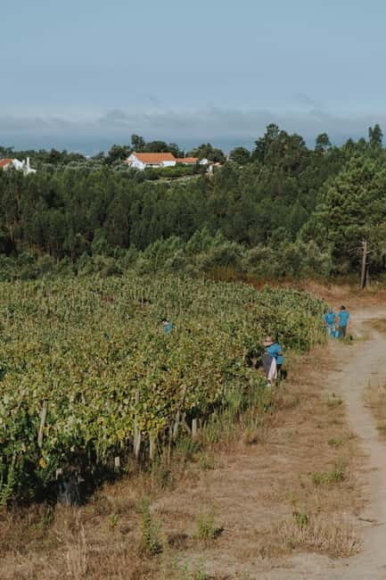 Tomar: Wine Picnic for Two - Final Thoughts
