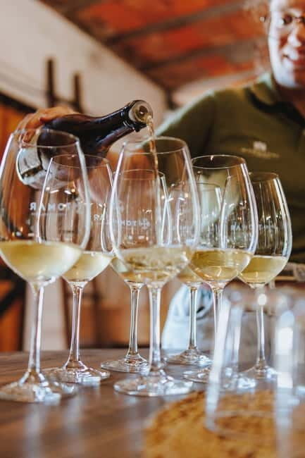 Tomar: Wine Tasting with Vinotherapy - What to Expect from the Experience