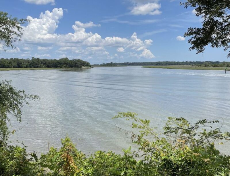 Tombs of Savannah: Bonaventure Cemetery Experience - Who Should Take This Tour?