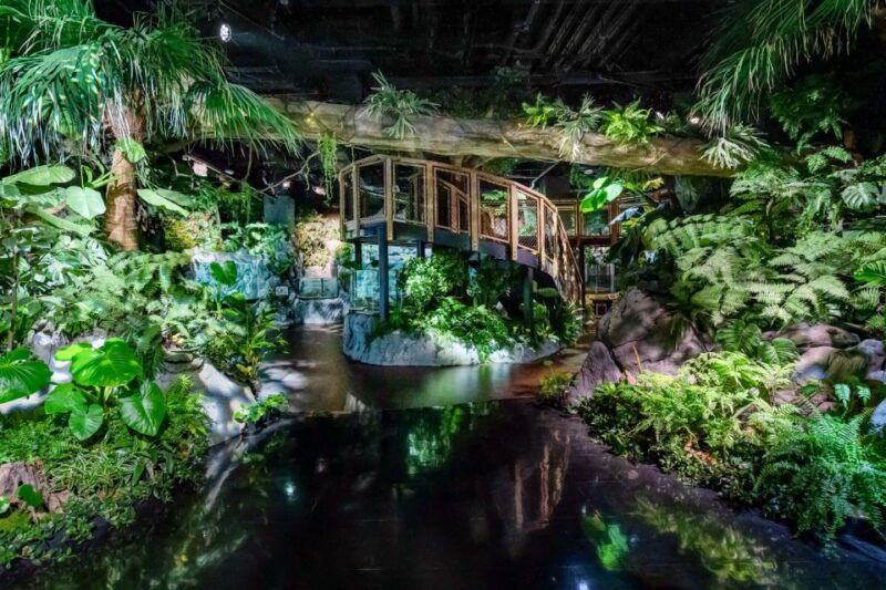 Tomigusuku: DMM Kariyushi Aquarium Admission - Unique Aquarium Experiences