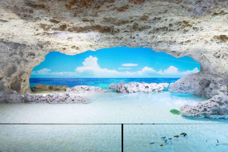 Tomigusuku: DMM Kariyushi Aquarium Admission - Frequently Asked Questions