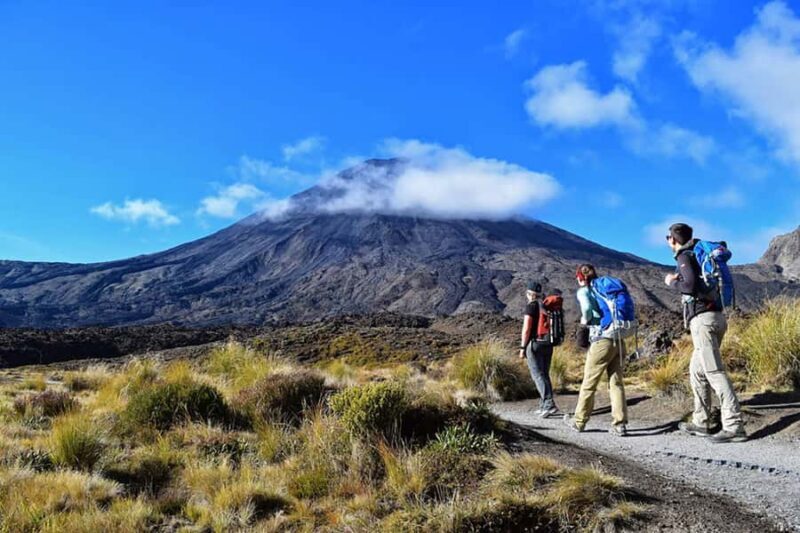 Tongariro Alpine Half Day Guided Group Walk - Key Points