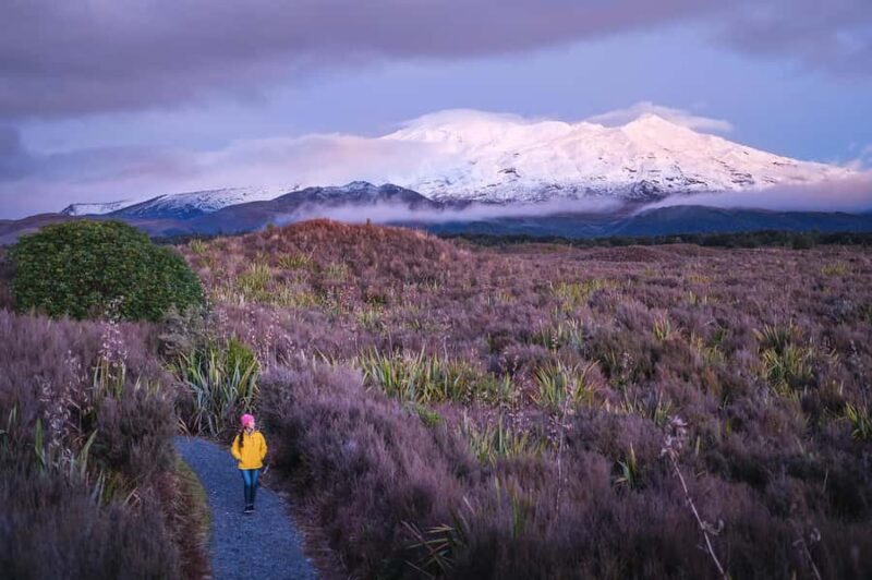 Tongariro National Park: Pre-Sunset Guided Walking Tour - FAQ