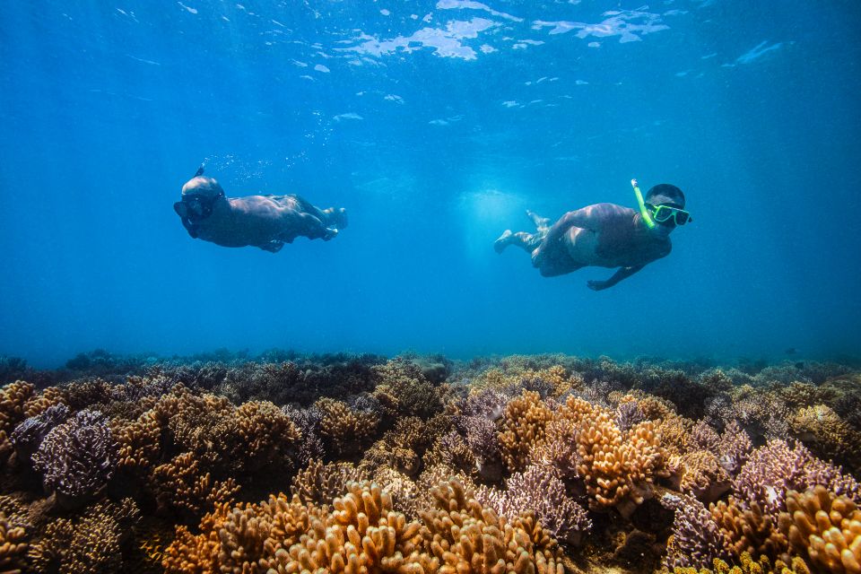 Tongarra: All-Inclusive Day Sail - Key Points