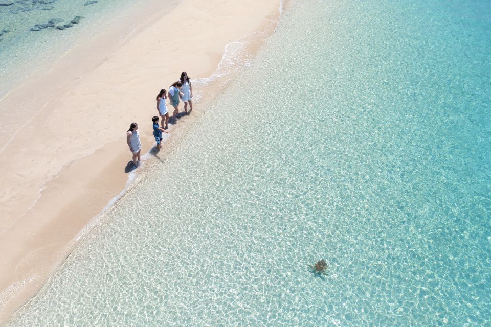 Tongarra: All-Inclusive Day Sail - What to Bring