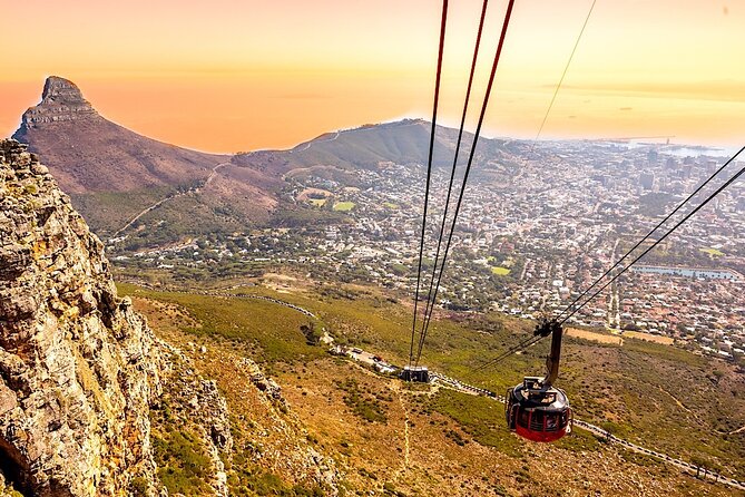 Top 10 Super Tour: Table Mountain, Penguins & Cape of Good Hope Small Group Trip - Tips for a Great Experience