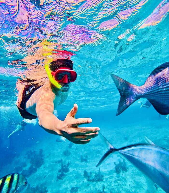 Top Experience: Snorkel & Beach Club All Inclusive / Open Bar & Lunch - Introduction