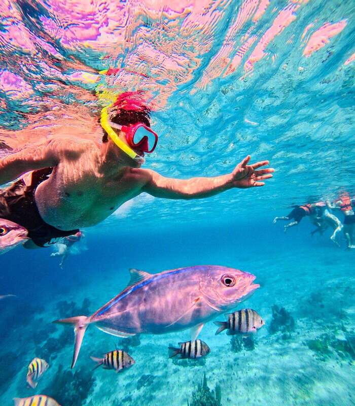 Top Experience: Snorkel & Beach Club All Inclusive / Open Bar & Lunch - What to Expect: The Itinerary