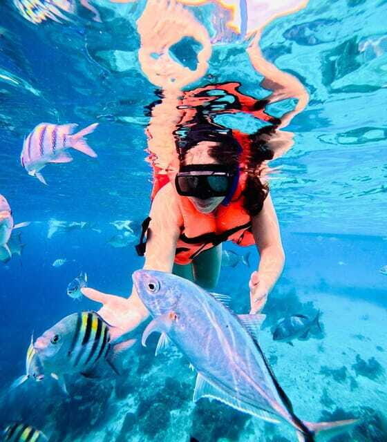 Top Experience: Snorkel & Beach Club All Inclusive / Open Bar & Lunch - The Real Deal: Authenticity and Value