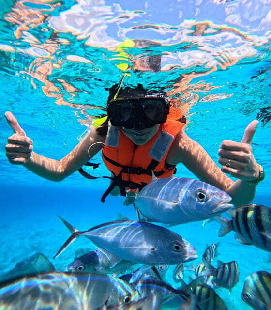 Top Experience: Snorkel & Beach Club All Inclusive / Open Bar & Lunch - Who Will Love This Tour?