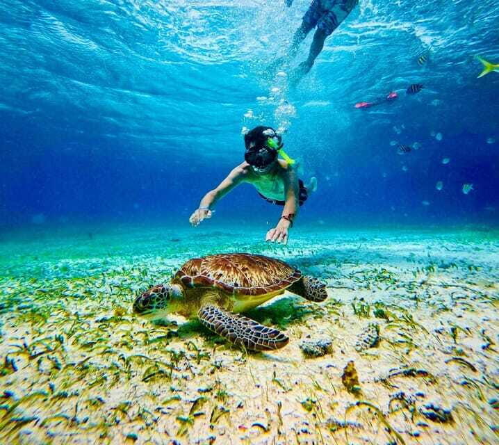 Top Experience: Snorkel & Beach Club All Inclusive / Open Bar & Lunch - The Sum Up