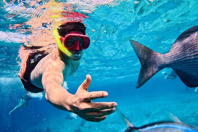 Top Experience: Snorkel Tour & All Inclusive Beach Club - What to Expect from This Tour