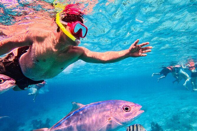 Top Experience: Snorkel Tour & All Inclusive Beach Club - The Sum Up: Who Is This Tour For?