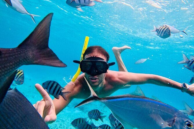 Top Experience: Snorkel Tour & All Inclusive Beach Club - FAQ