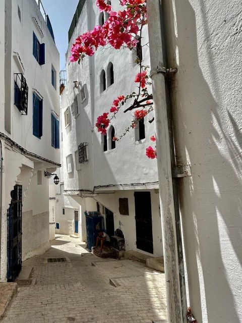 Top Luxury 3 Hour Private Walking Tour - Additional Information