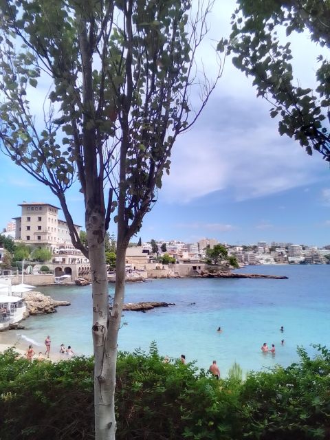 Top Malta Tour (Town, Bazaar, History, Culture, Nature, Sea) - The Itinerary Breakdown