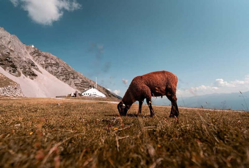 Top of Innsbruck: Roundtrip Cable Car Ticket - What to Expect at Each Stop