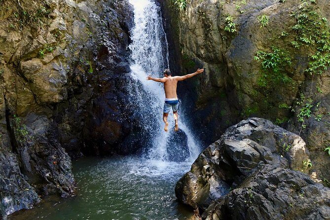 Top Rated El Yunque Rainforest & Waterslide SmallGroup Tour - An Adventure in El Yunque Rainforest That Goes Beyond the Basics