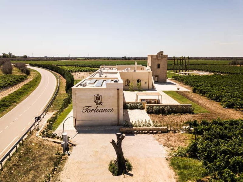 TORLEANZI: wine tour and tasting at winery in Torre San Gennaro - Introduction