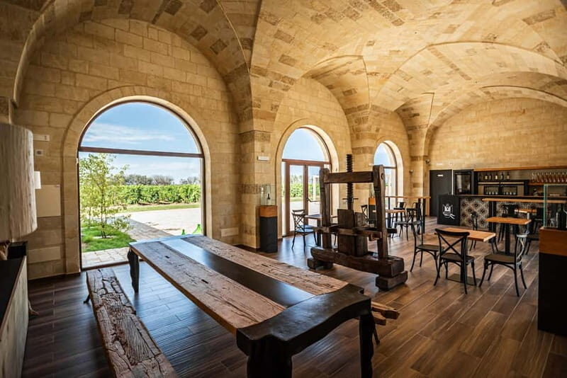 TORLEANZI: wine tour and tasting at winery in Torre San Gennaro - Analyzing the Value