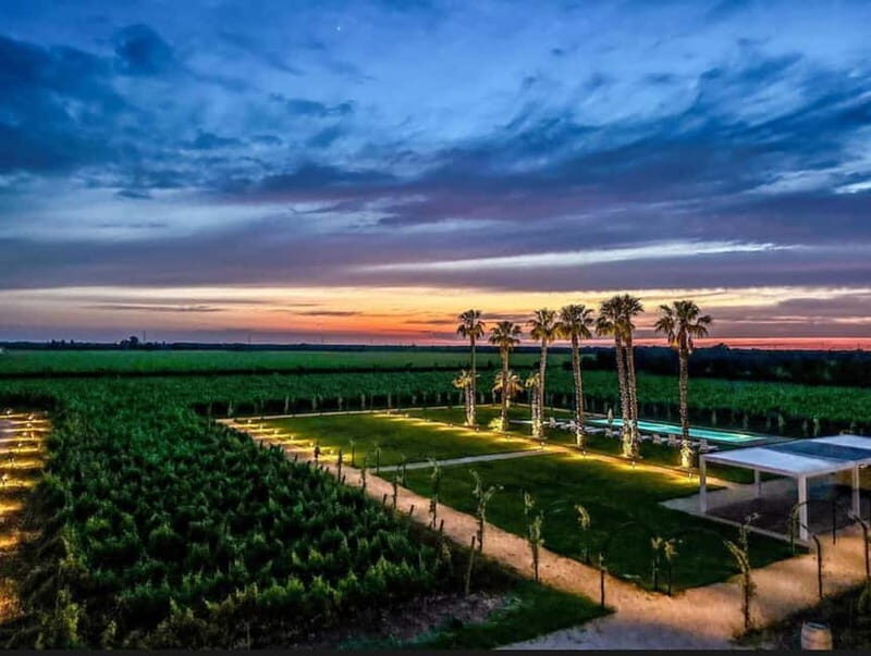 TORLEANZI: wine tour and tasting at winery in Torre San Gennaro - The Sum Up