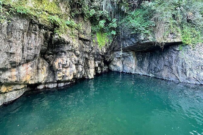 Toro Negro River Hike & Cliff Jumping Adventure; San Juan Pick Up - The Itinerary: A Closer Look
