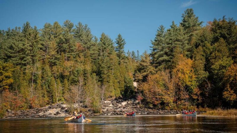 Toronto: Algonquin Park and Ragged Falls Day Trip - An In-Depth Look at the Tour Experience