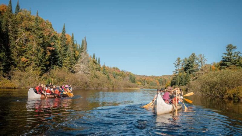 Toronto: Algonquin Park and Ragged Falls Day Trip - Who Will Love This Tour?