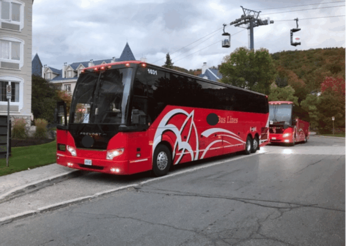 Toronto and Niagara Falls: Full-Day City and Nature Tour - Tips for a Great Experience