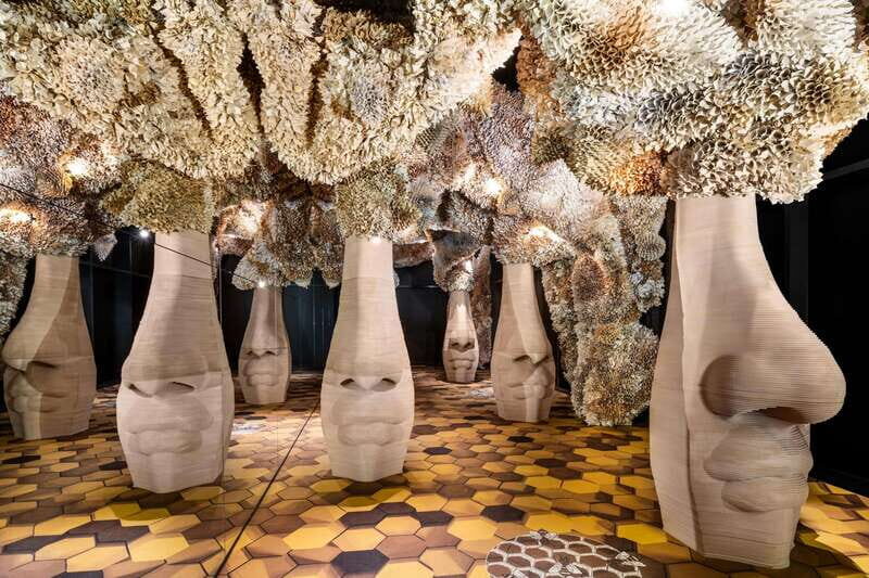 Toronto: Arcadia Earth, Immersive Experience Anytime Ticket - The Practicalities: What Every Traveler Should Know