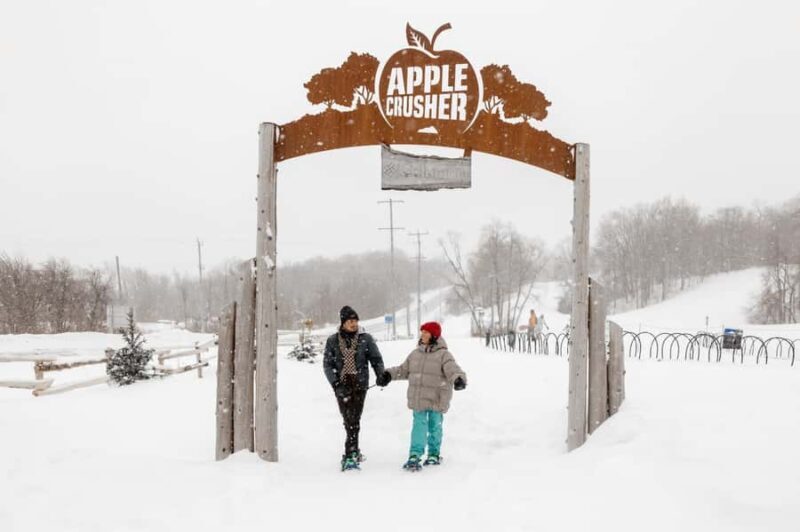 Toronto: Blue Mountain Ski & Snowboard Shuttle Day Trip - The Reviews: Real Experiences from Travelers