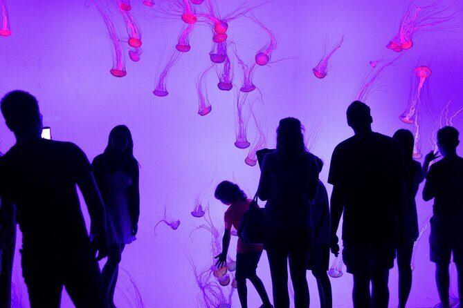 Toronto City Highlights Express Tour - Authentic Insights from Traveler Reviews