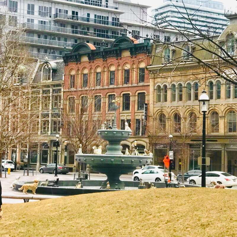 Toronto: City Walking Tour - Old Toronto: Looking Back in Time