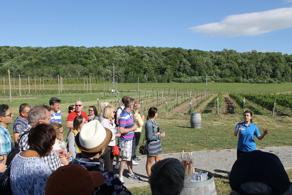 Toronto: Niagara Falls Day Trip With Wine Tasting & Transfer - Key Points