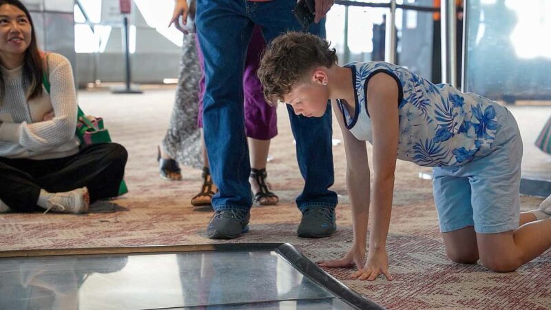 Toronto: Premium Driving Tour with Tower and Harbour Cruise - Key Points