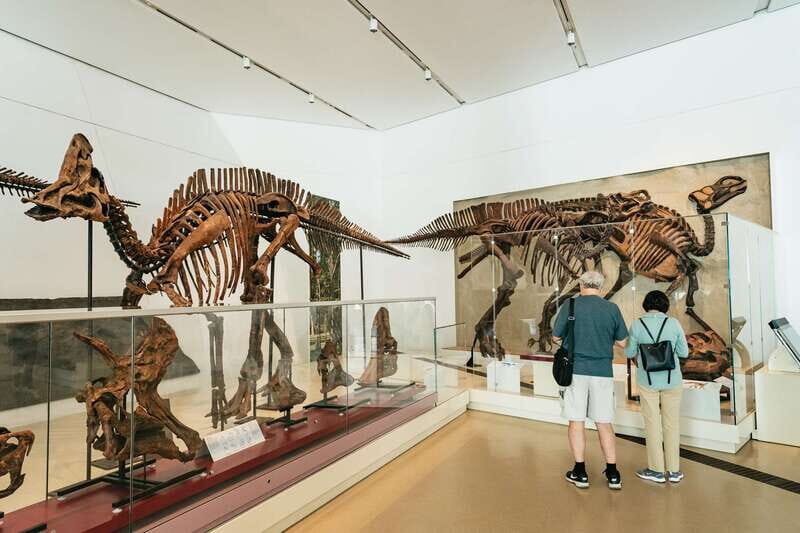 Toronto: Royal Ontario Museum Admission Ticket - Key Points