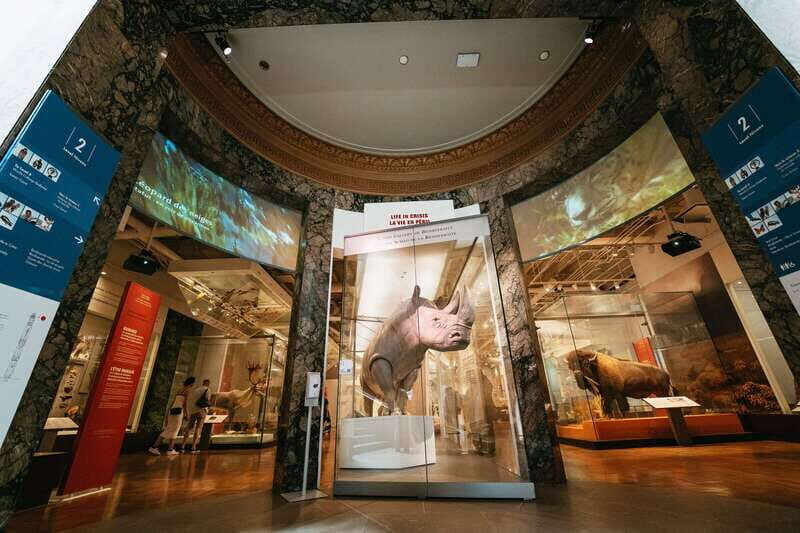 Toronto: Royal Ontario Museum Admission Ticket - FAQ