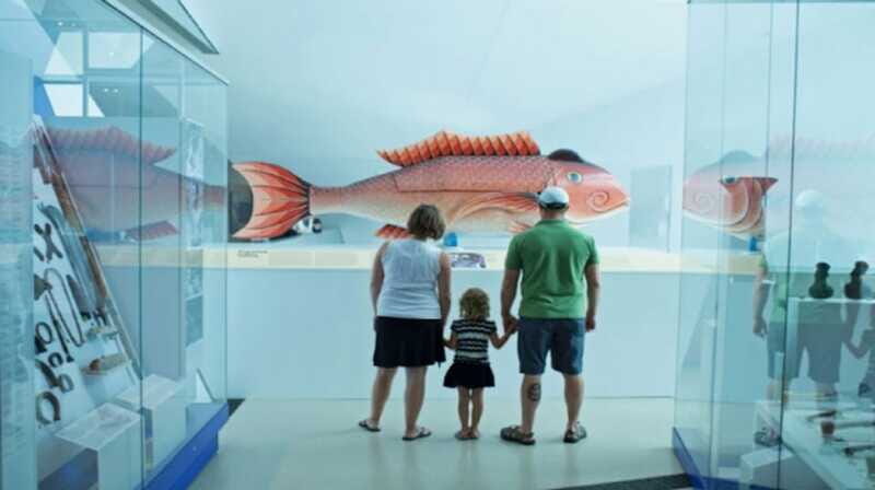 Toronto: Royal Ontario Museum Special Exhibits Voucher - How to Maximize Your Visit