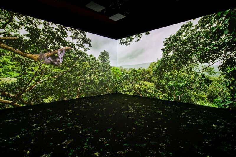 Toronto: Royal Ontario Museum Special Exhibits Voucher - The Sum Up: Who Will Love This Experience?